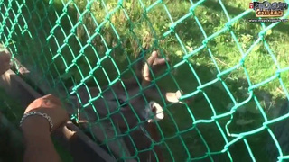 Русские пикаперы трахнули молодую сучку в парке