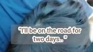 Sissy Face Fuck Deepthroat Caption GIF