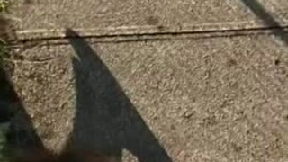 Voyeur Sloppy Public Outdoor Gagging Dogging Deepthroat Canadian Blowjob Blonde BBC GIF