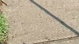 Voyeur Sloppy Public Outdoor Gagging Dogging Deepthroat Canadian Blowjob Blonde BBC GIF