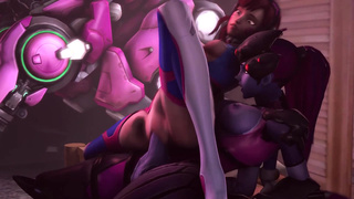 Assignement D.Va