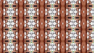 Workout Oiled LaSirena69 Interracial Hardcore Face Fuck Doggystyle Deepthroat Bubble Butt Boobs GIF