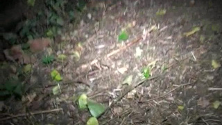 Шлюха сосет большой член и дает себя трахать в киску