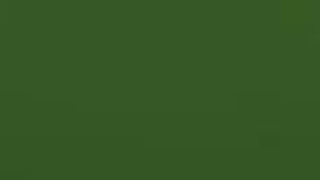 POV Oral Futanari Deepthroat GIF