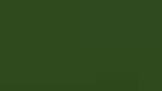 POV Oral Futanari Deepthroat Cumshot Cum In Mouth Cum GIF