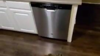 Redhead Deepthroat Blowjob GIF