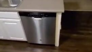 Redhead Deepthroat Blowjob GIF