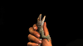 Клип Кати Самбуки в высоком качестве